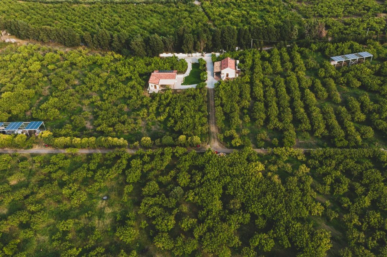 Il Limoneto Rooms Terme Vigliatore Dış mekan fotoğraf
