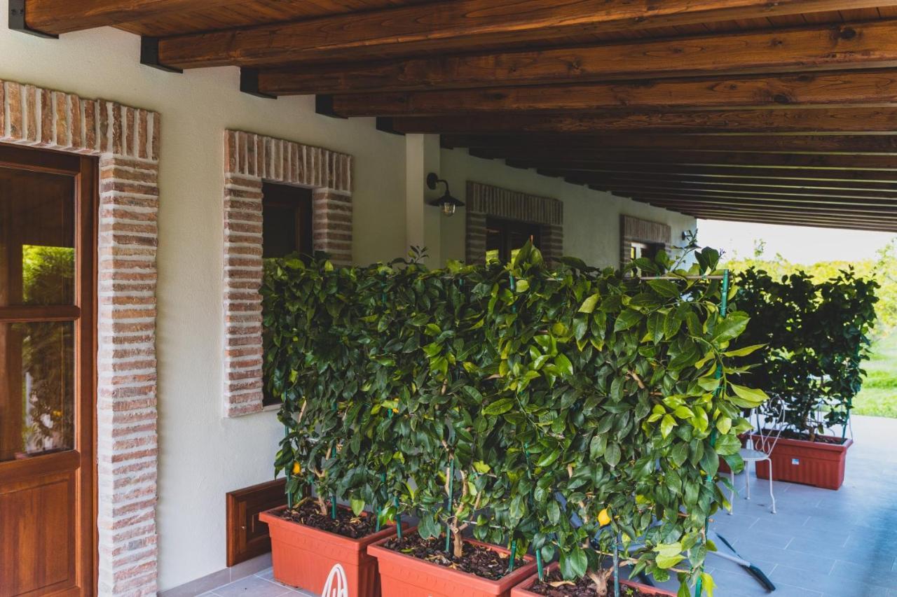 Il Limoneto Rooms Terme Vigliatore Dış mekan fotoğraf