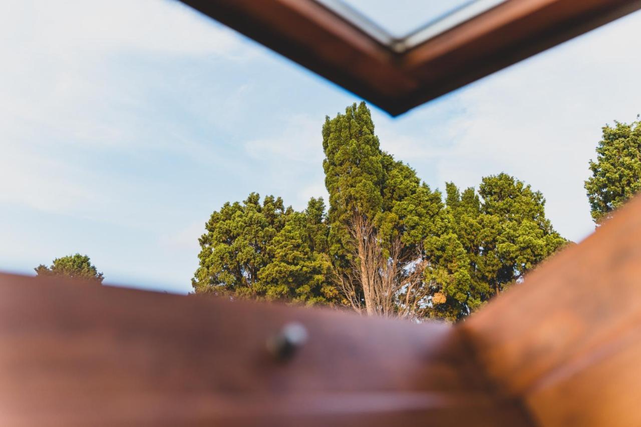 Il Limoneto Rooms Terme Vigliatore Dış mekan fotoğraf