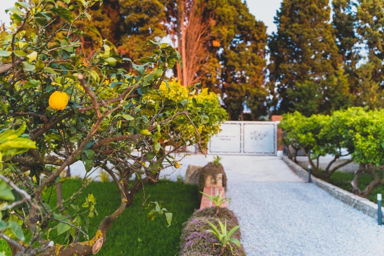 Il Limoneto Rooms Terme Vigliatore Dış mekan fotoğraf