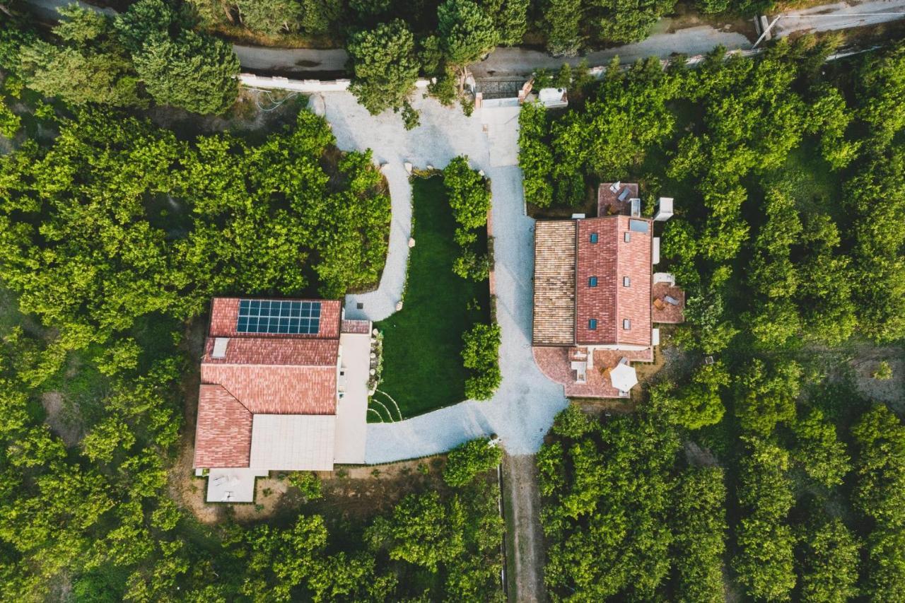 Il Limoneto Rooms Terme Vigliatore Dış mekan fotoğraf